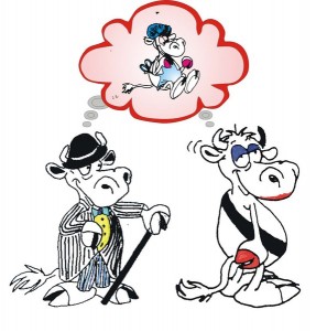 fecondation (Copier)